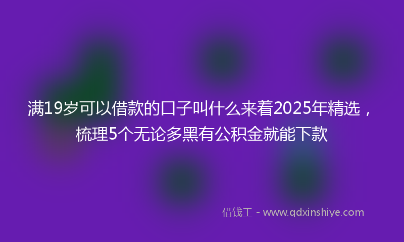 满19岁可以借款的口子叫什么来着2025年精选，梳理5个无论多黑有公积金就能下款