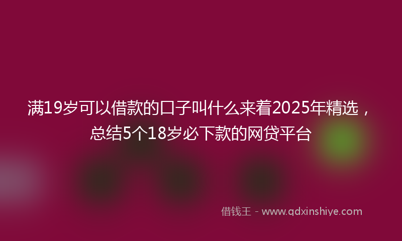 满19岁可以借款的口子叫什么来着2025年精选，总结5个18岁必下款的网贷平台