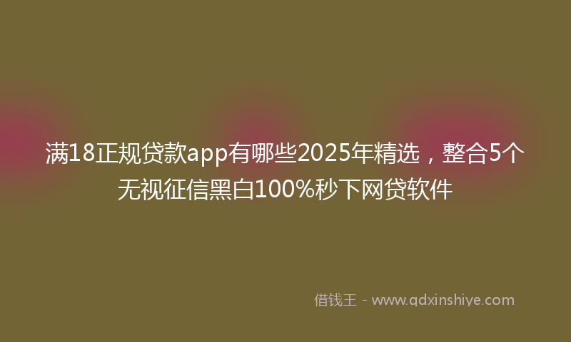 满18正规贷款app有哪些2025年精选，整合5个无视征信黑白100%秒下网贷软件