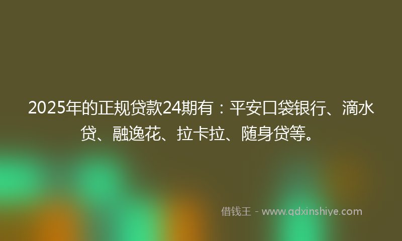 2025年的正规贷款24期有：平安口袋银行、滴水贷、融逸花、拉卡拉、随身贷等。