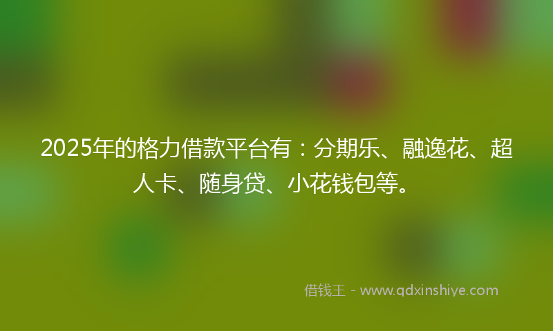 2025年的格力借款平台有：分期乐、融逸花、超人卡、随身贷、小花钱包等。