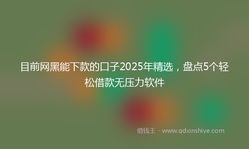 目前网黑能下款的口子2025年精选，盘点5个轻松借款无压力软件