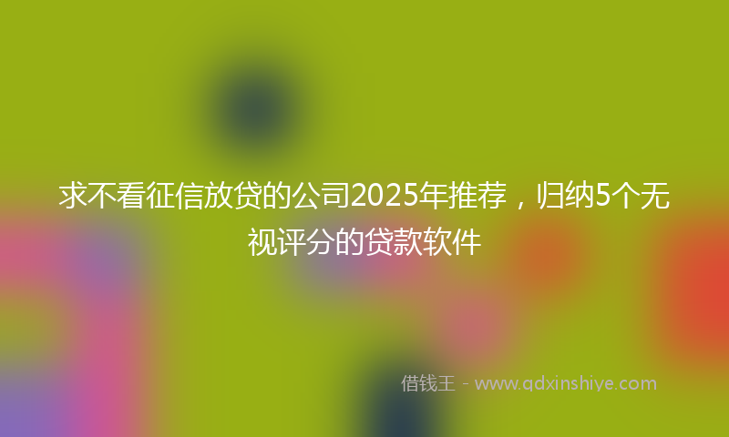 求不看征信放贷的公司2025年推荐，归纳5个无视评分的贷款软件