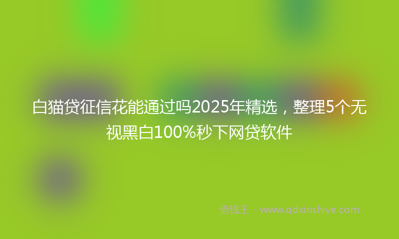 白猫贷征信花能通过吗2025年精选,整理5个无视黑白100%秒下网贷软件