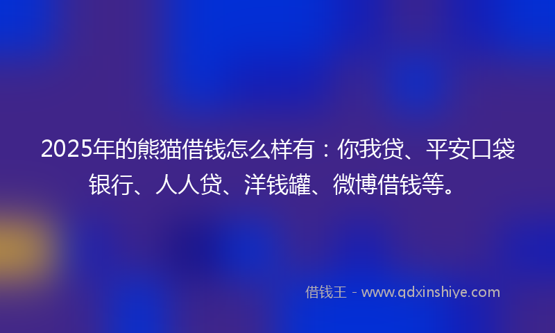2025年的熊猫借钱怎么样有：你我贷、平安口袋银行、人人贷、洋钱罐、微博借钱等。