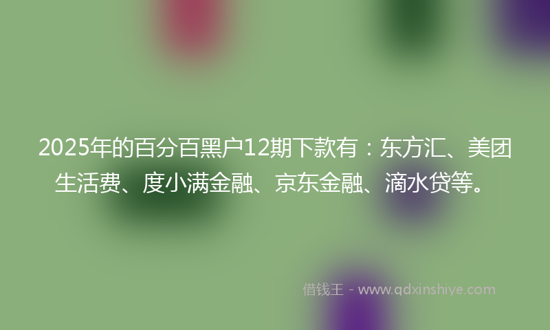2025年的百分百黑户12期下款有：东方汇、美团生活费、度小满金融、京东金融、滴水贷等。
