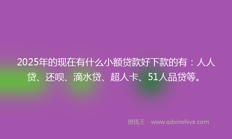 2025年的现在有什么小额贷款好下款的有：人人贷、还呗、滴水贷、超人卡、51人品贷等。