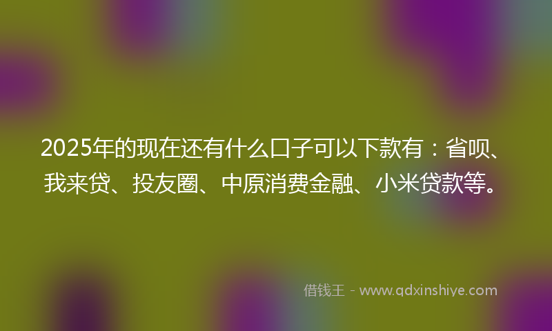 2025年的现在还有什么口子可以下款有:省呗、我来贷、投友圈、中原消费金融、小米贷款等。