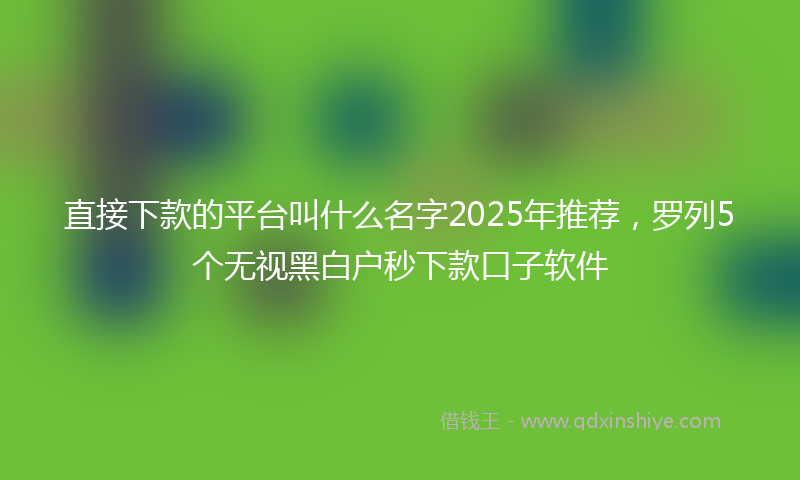 直接下款的平台叫什么名字2025年推荐，罗列5个无视黑白户秒下款口子软件