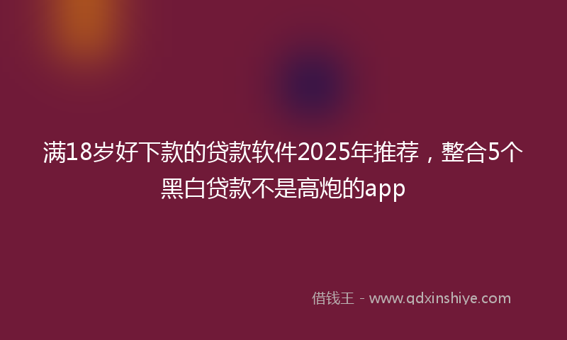 满18岁好下款的贷款软件2025年推荐，整合5个黑白贷款不是高炮的app