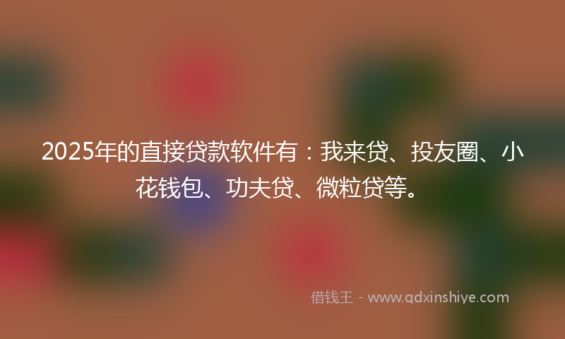 2025年的直接贷款软件有：我来贷、投友圈、小花钱包、功夫贷、微粒贷等。