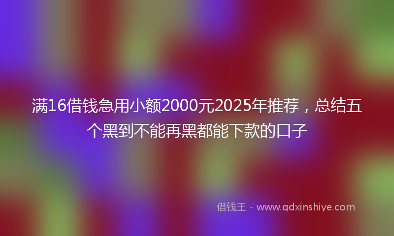 满16借钱急用小额2000元2025年推荐，总结五个黑到不能再黑都能下款的口子