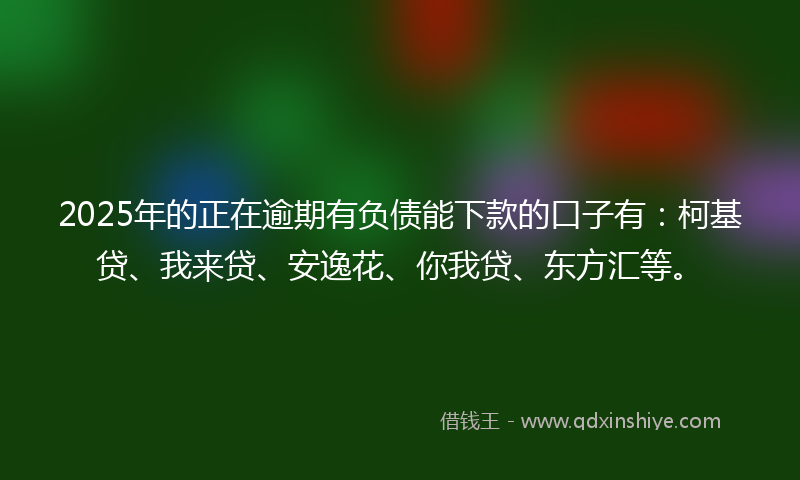 2025年的正在逾期有负债能下款的口子有：柯基贷、我来贷、安逸花、你我贷、东方汇等。