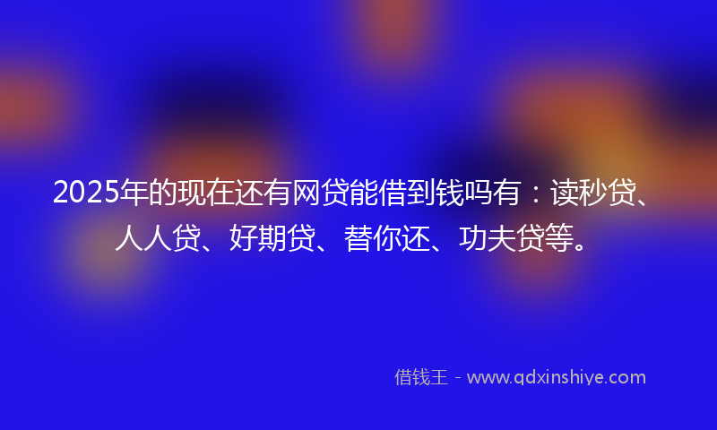 2025年的现在还有网贷能借到钱吗有：读秒贷、人人贷、好期贷、替你还、功夫贷等。