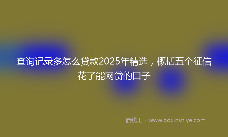 查询记录多怎么贷款2025年精选，概括五个征信花了能网贷的口子