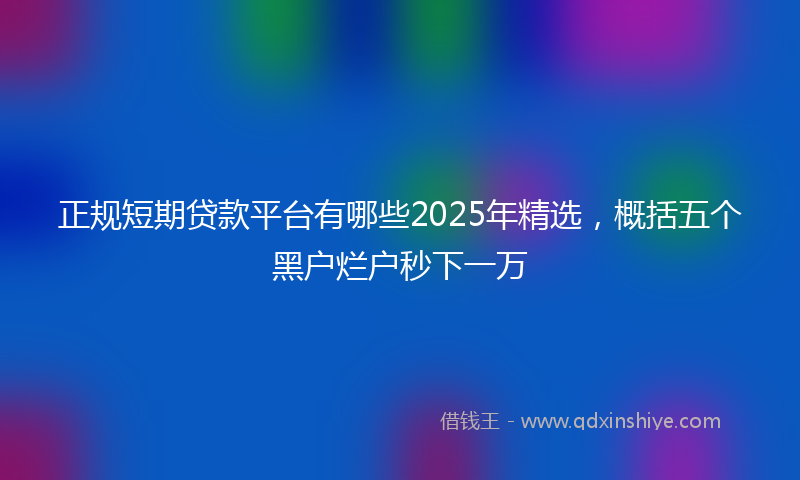 正规短期贷款平台有哪些2025年精选，概括五个黑户烂户秒下一万