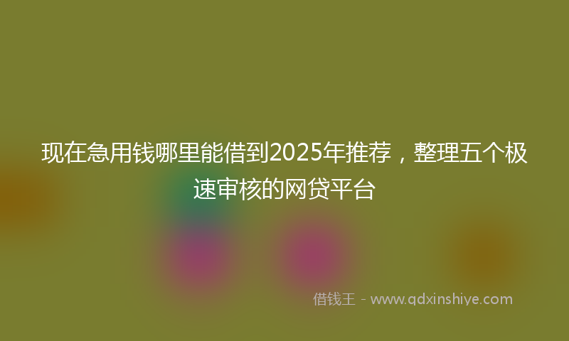 现在急用钱哪里能借到2025年推荐，整理五个极速审核的网贷平台