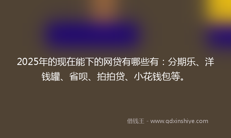 2025年的现在能下的网贷有哪些有：分期乐、洋钱罐、省呗、拍拍贷、小花钱包等。