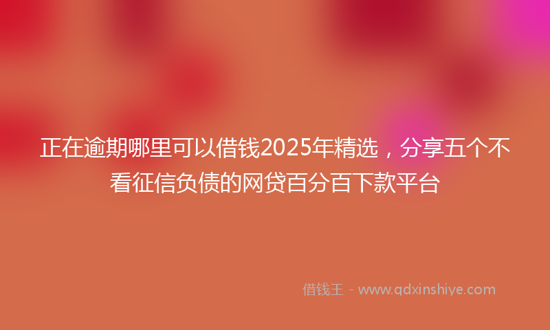 正在逾期哪里可以借钱2025年精选,分享五个不看征信负债的网贷百分百下款平台