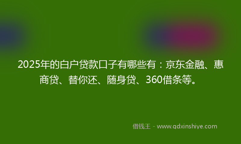 2025年的白户贷款口子有哪些有：京东金融、惠商贷、替你还、随身贷、360借条等。