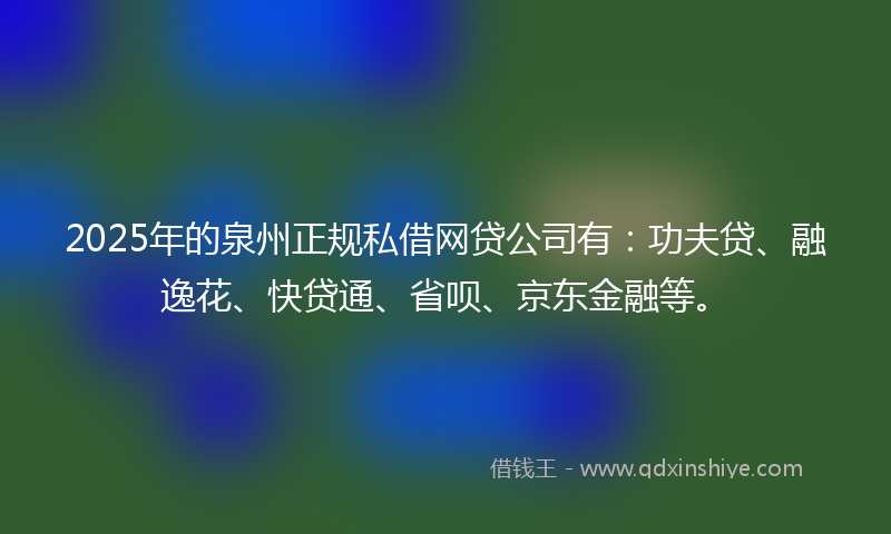2025年的泉州正规私借网贷公司有：功夫贷、融逸花、快贷通、省呗、京东金融等。