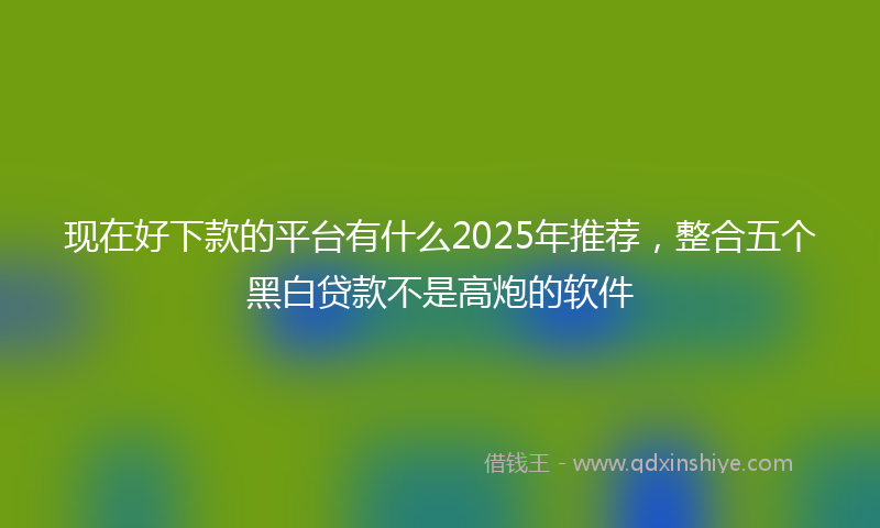 现在好下款的平台有什么2025年推荐，整合五个黑白贷款不是高炮的软件