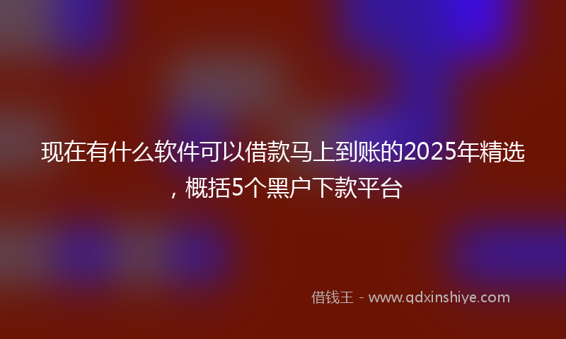 现在有什么软件可以借款马上到账的2025年精选，概括5个黑户下款平台
