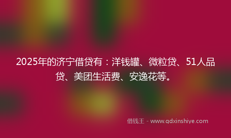 2025年的济宁借贷有：洋钱罐、微粒贷、51人品贷、美团生活费、安逸花等。