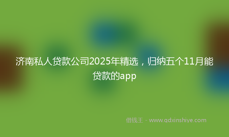 济南私人贷款公司2025年精选，归纳五个11月能贷款的app