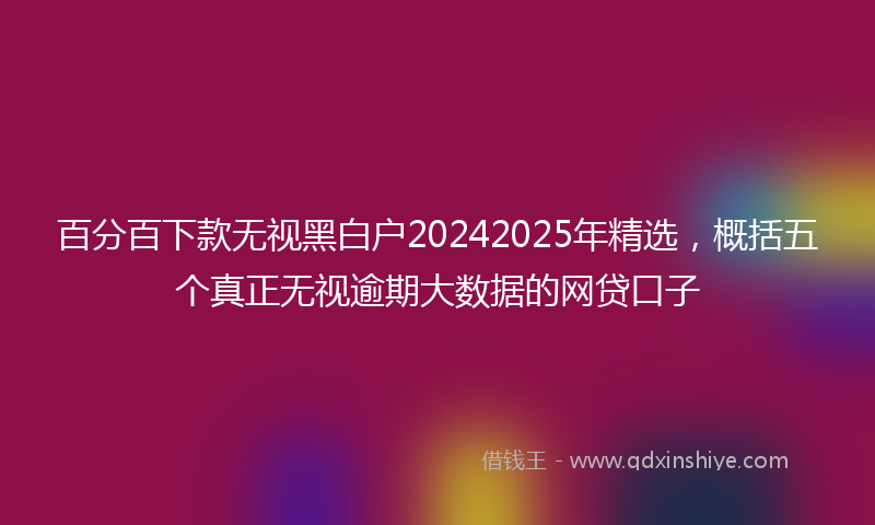 百分百下款无视黑白户20242025年精选，概括五个真正无视逾期大数据的网贷口子