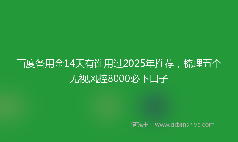 百度备用金14天有谁用过2025年推荐，梳理五个无视风控8000必下口子
