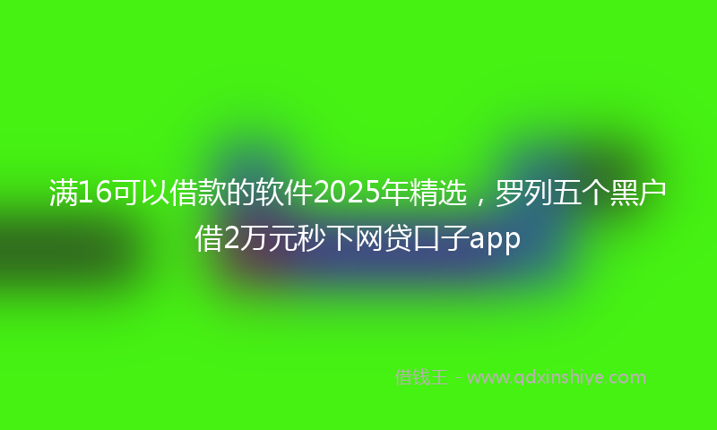 满16可以借款的软件2025年精选，罗列五个黑户借2万元秒下网贷口子app
