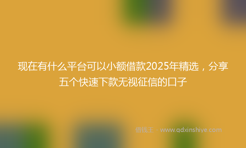 现在有什么平台可以小额借款2025年精选，分享五个快速下款无视征信的口子