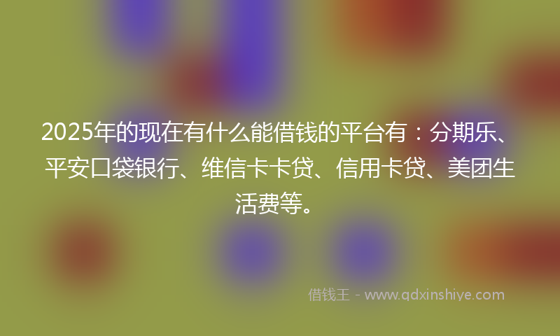2025年的现在有什么能借钱的平台有：分期乐、平安口袋银行、维信卡卡贷、信用卡贷、美团生活费等。