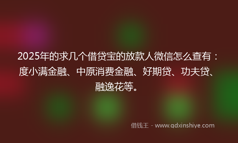 2025年的求几个借贷宝的放款人微信怎么查有：度小满金融、中原消费金融、好期贷、功夫贷、融逸花等。