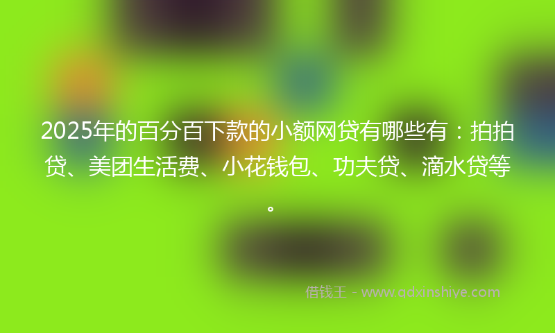 2025年的百分百下款的小额网贷有哪些有：拍拍贷、美团生活费、小花钱包、功夫贷、滴水贷等。