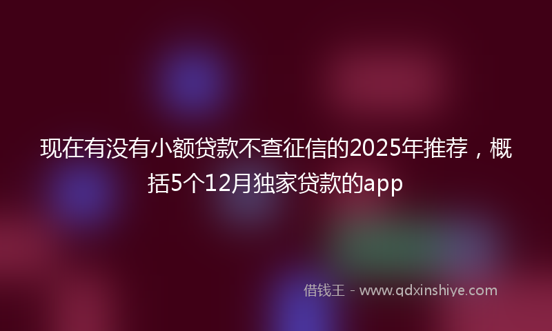 现在有没有小额贷款不查征信的2025年推荐，概括5个12月独家贷款的app