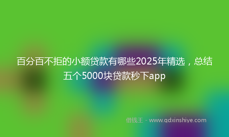 百分百不拒的小额贷款有哪些2025年精选，总结五个5000块贷款秒下app