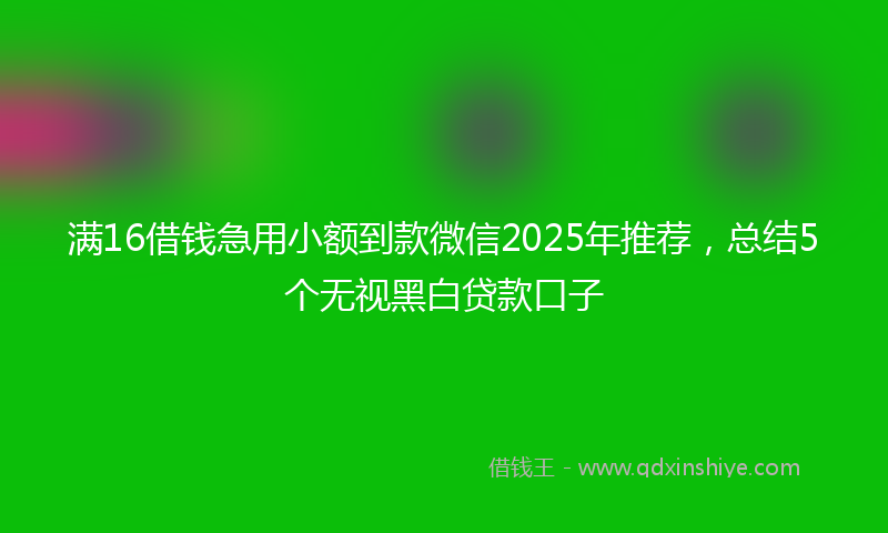 满16借钱急用小额到款微信2025年推荐，总结5个无视黑白贷款口子