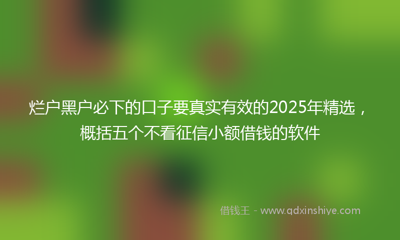 烂户黑户必下的口子要真实有效的2025年精选，概括五个不看征信小额借钱的软件