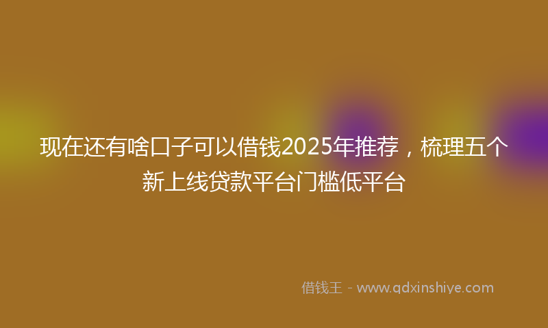 现在还有啥口子可以借钱2025年推荐，梳理五个新上线贷款平台门槛低平台