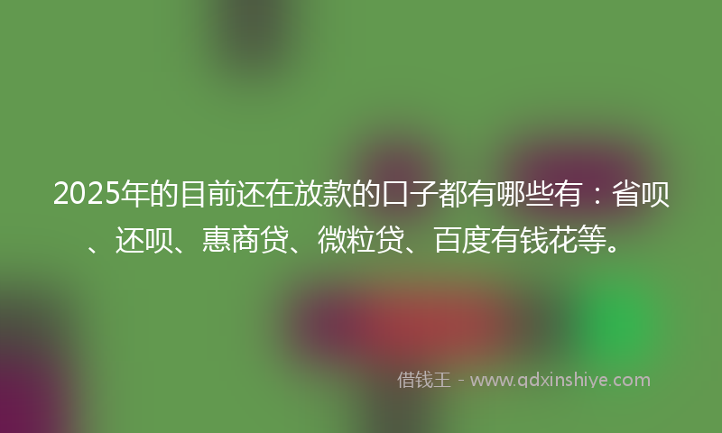 2025年的目前还在放款的口子都有哪些有：省呗、还呗、惠商贷、微粒贷、百度有钱花等。