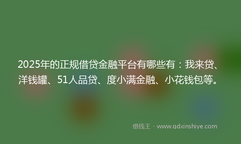 2025年的正规借贷金融平台有哪些有：我来贷、洋钱罐、51人品贷、度小满金融、小花钱包等。