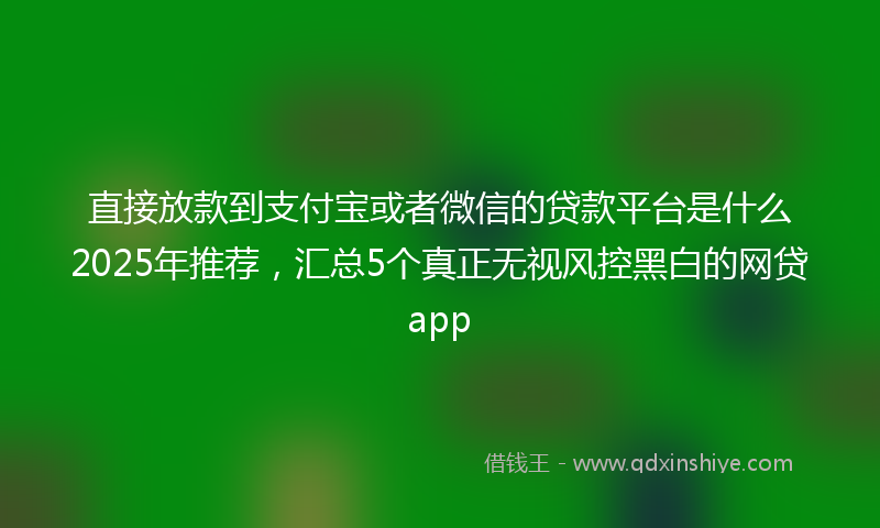 直接放款到支付宝或者微信的贷款平台是什么2025年推荐，汇总5个真正无视风控黑白的网贷app