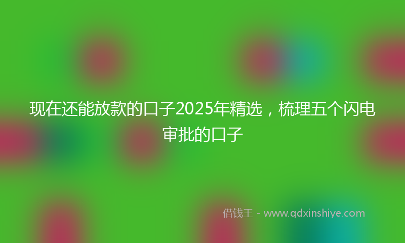 现在还能放款的口子2025年精选，梳理五个闪电审批的口子