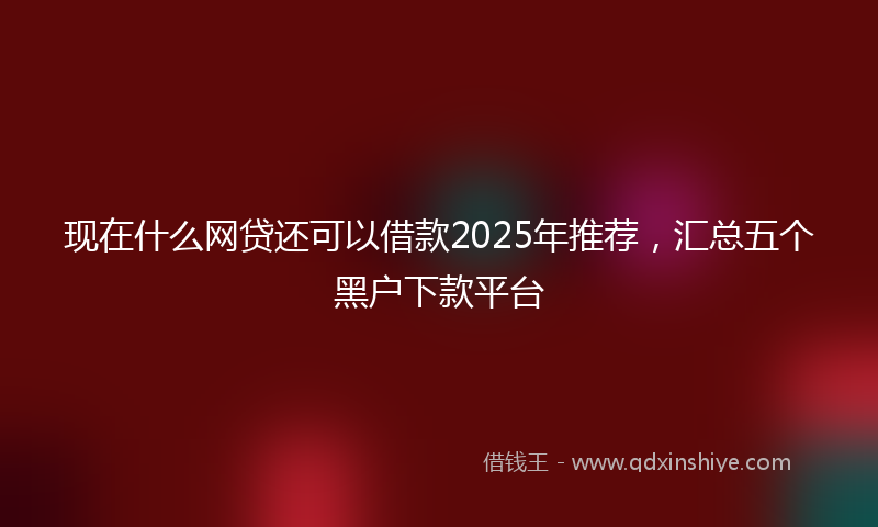 现在什么网贷还可以借款2025年推荐，汇总五个黑户下款平台