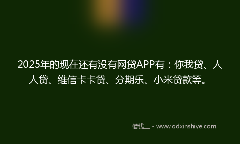 2025年的现在还有没有网贷APP有：你我贷、人人贷、维信卡卡贷、分期乐、小米贷款等。