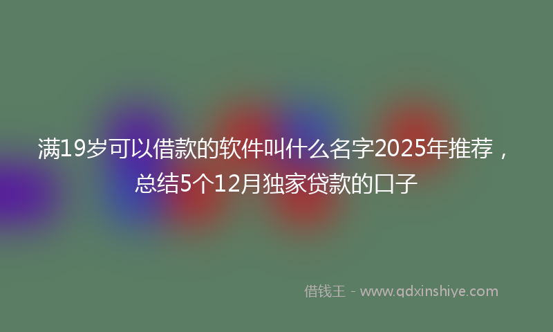 满19岁可以借款的软件叫什么名字2025年推荐，总结5个12月独家贷款的口子
