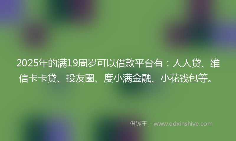 2025年的满19周岁可以借款平台有：人人贷、维信卡卡贷、投友圈、度小满金融、小花钱包等。