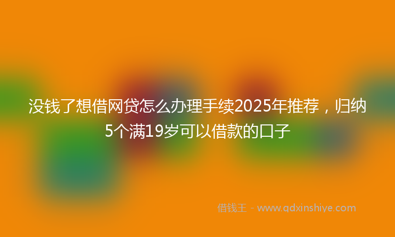 没钱了想借网贷怎么办理手续2025年推荐，归纳5个满19岁可以借款的口子